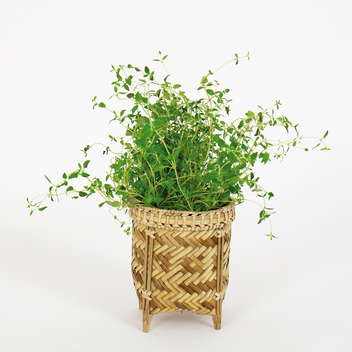 BAMBOO Pot, S