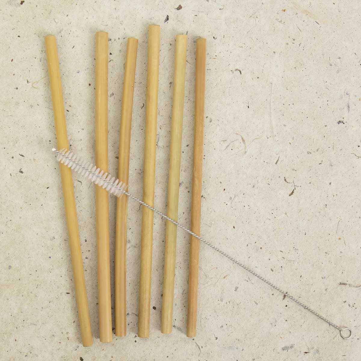 BAMBU Straw with brush, 2-p