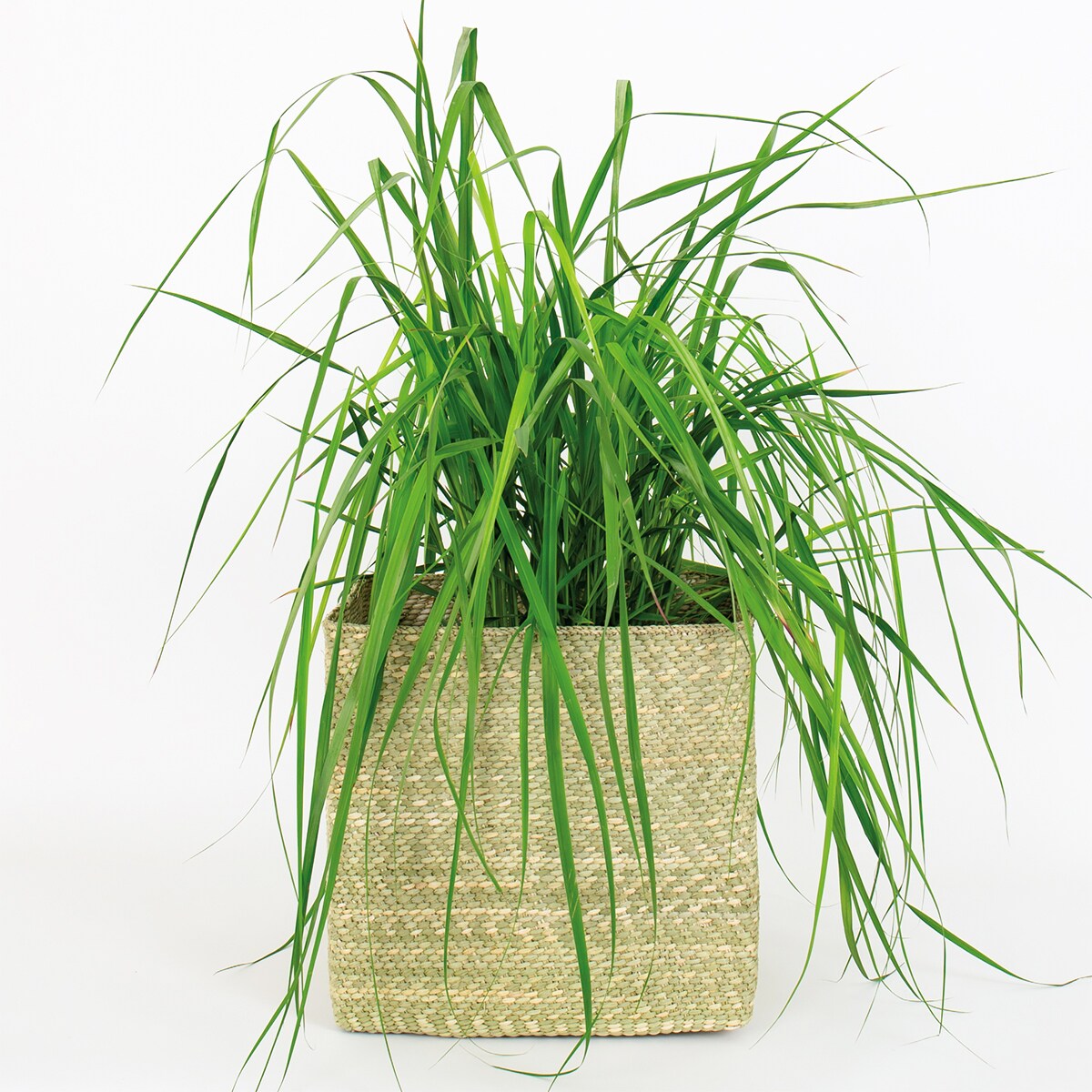 HEHE KVADRAT Basket L, natural