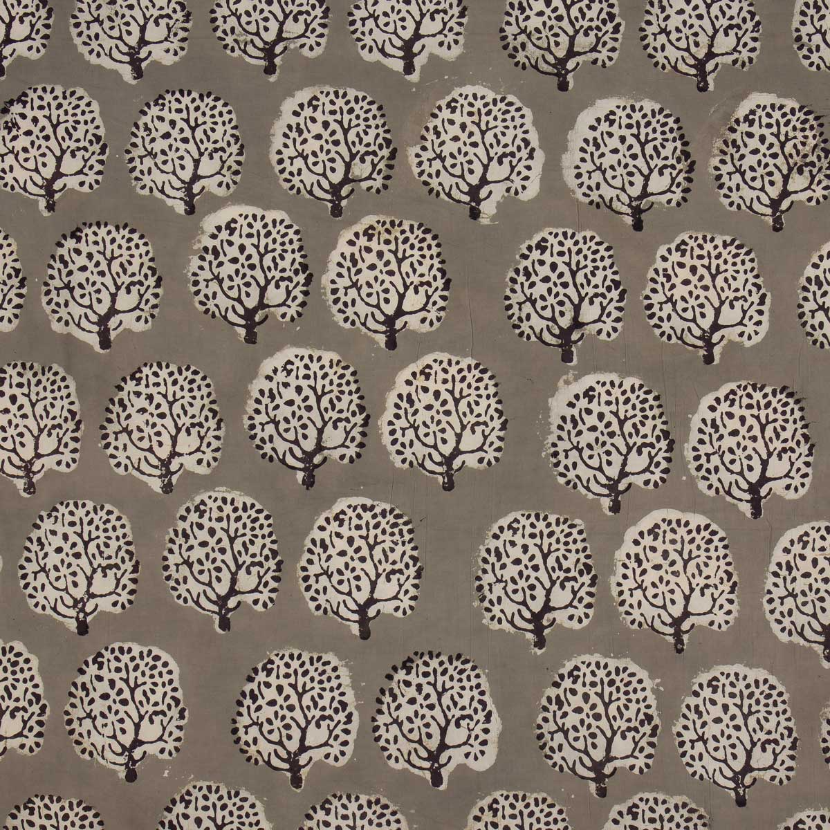NATURAL OLIVE TREE Fabric