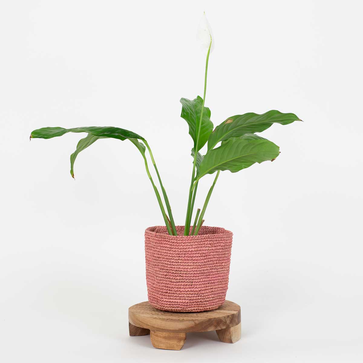 NEEM Träbricka