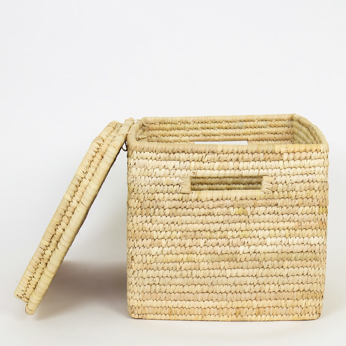 PALM COFFER Basket w lid, L