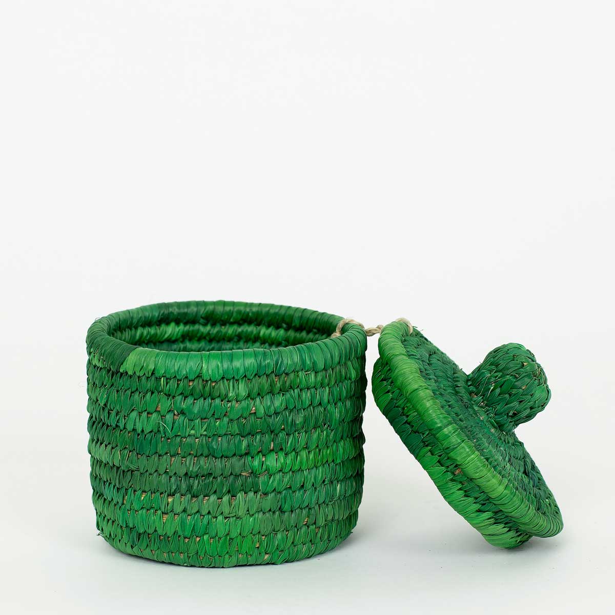 PALM COLOR MINI Basket w lid, green