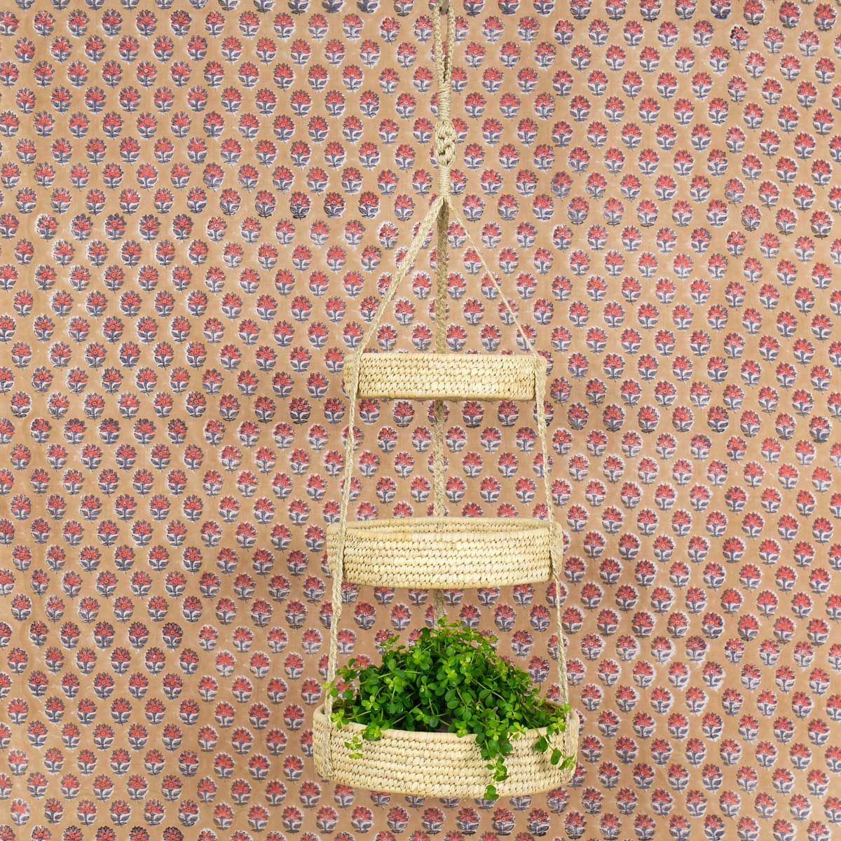 PALM Triple basket