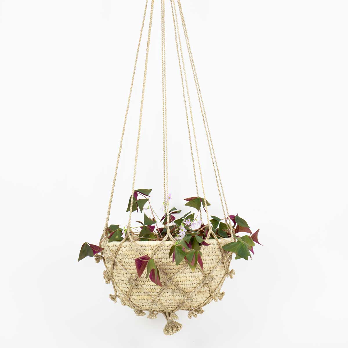 PALM Planthanger basket