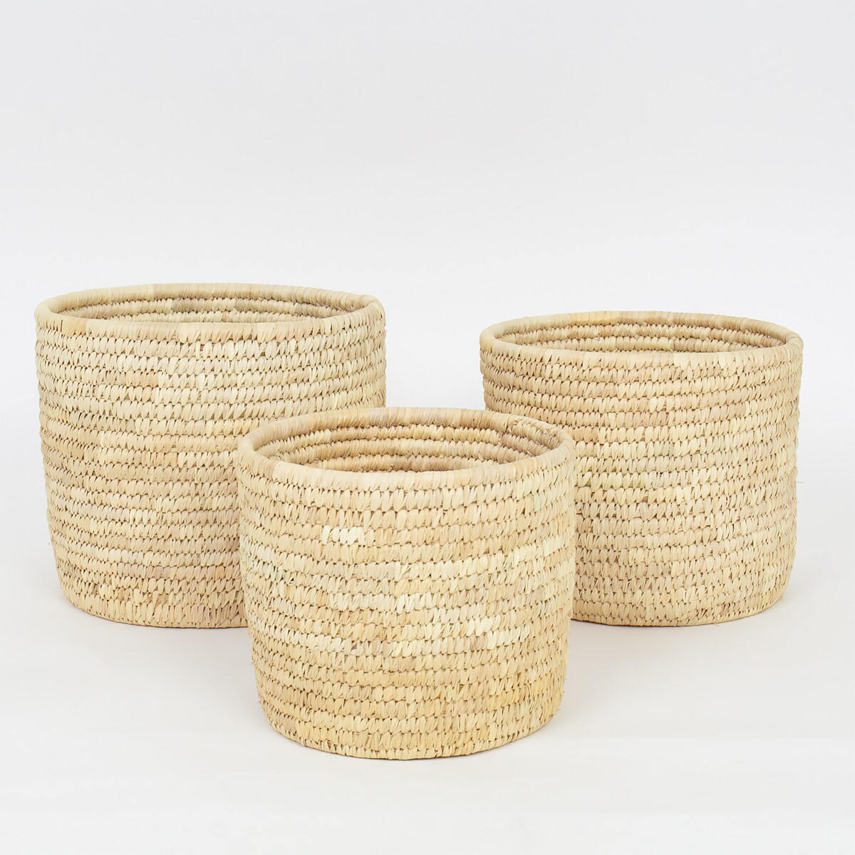 PALM CYLINDER Pot, M