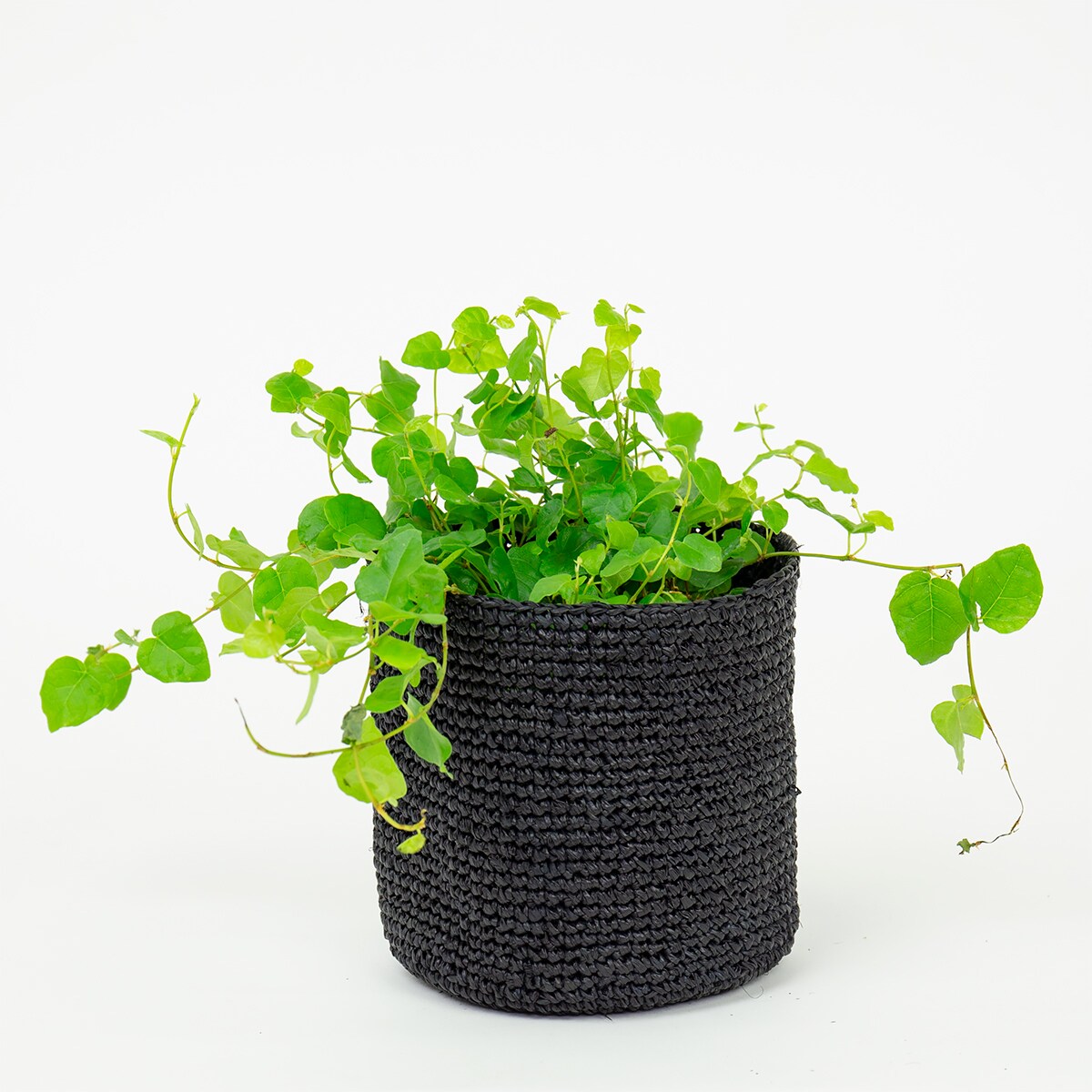 RAFFIA Basket S, black