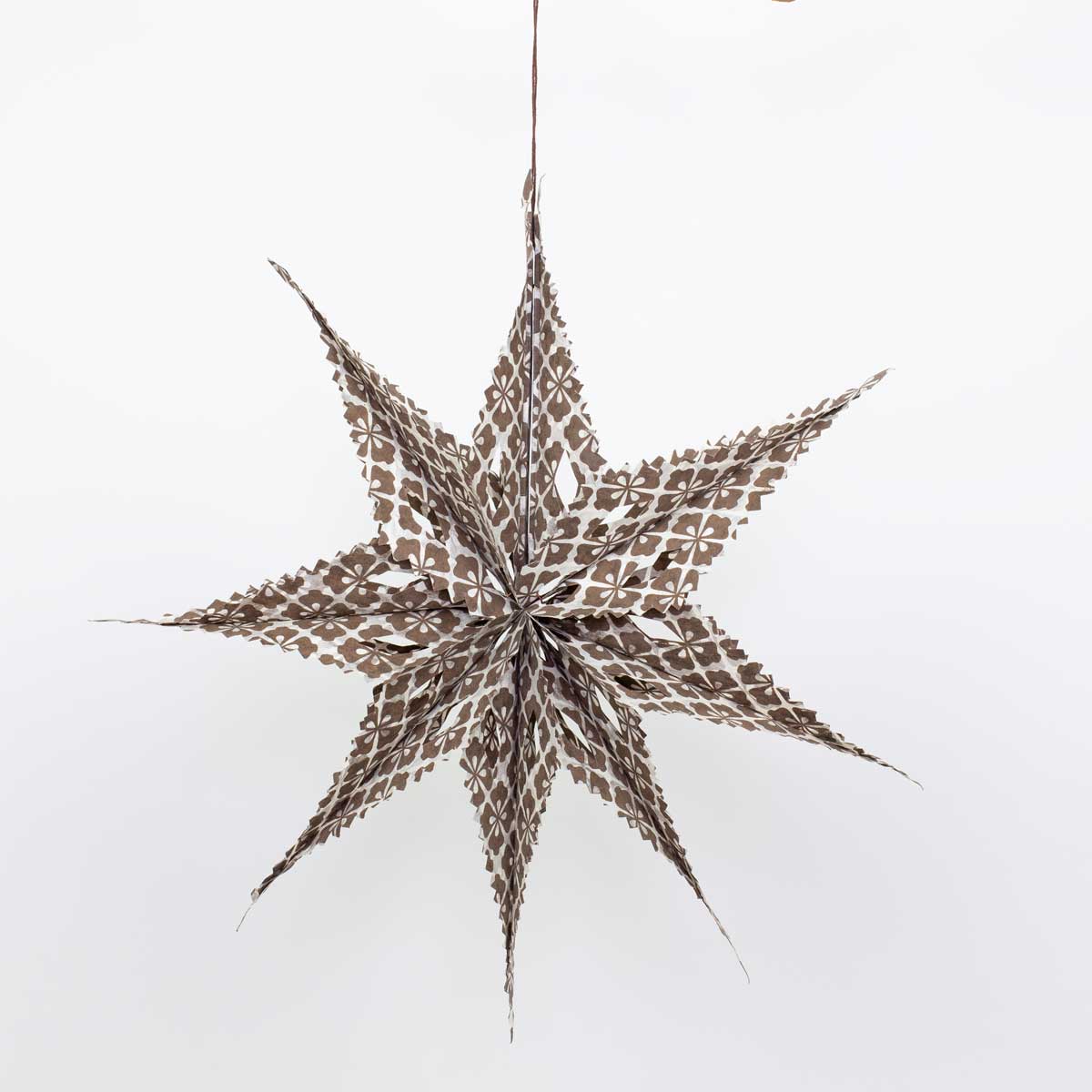 SIRIUS Star, white/brown