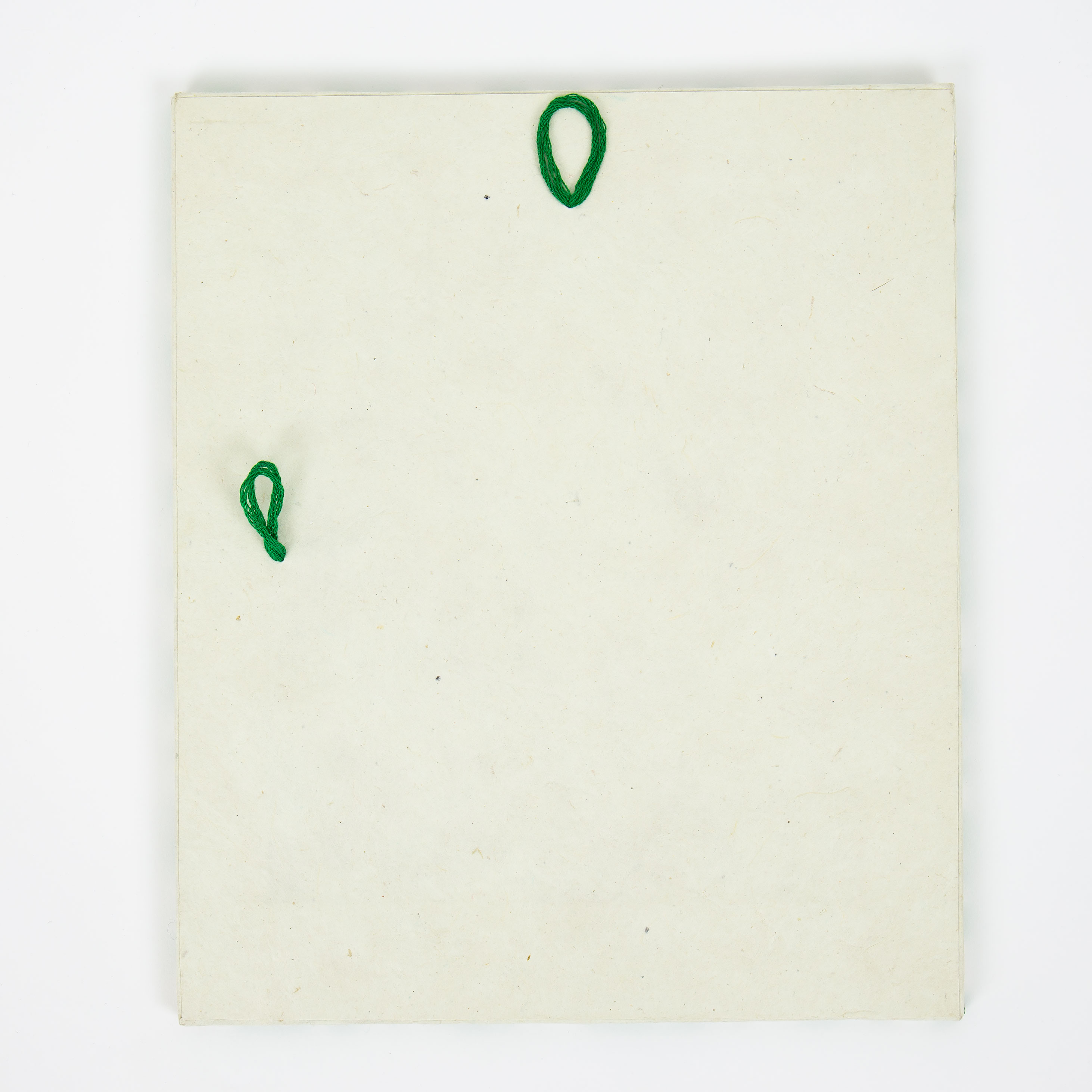 STRAWBERRY Frame S, white/green