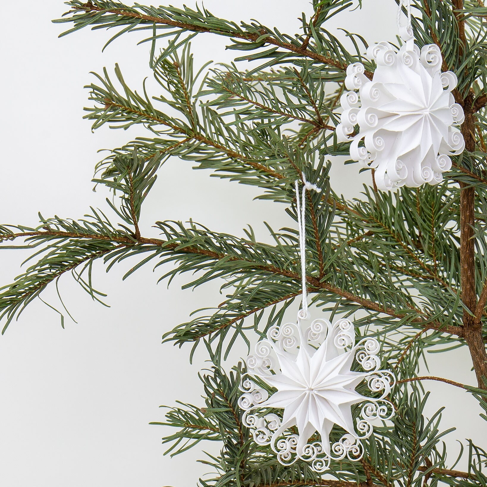 WHIRL Ornament 2-pack, white